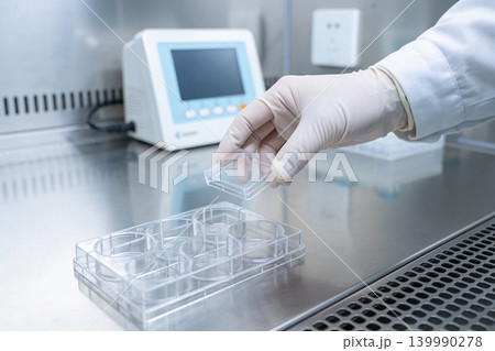 Scientist in sterile gloves handles cell culture plate in a laboratory setting Scientist in sterile gloves handles cell culture plate in a laboratory setting 139990278