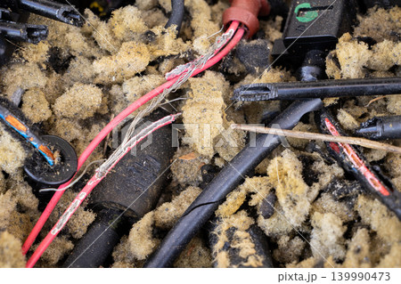 Close-up view of damaged electrical wires tangled in foam and debris Close-up view of damaged electrical wires tangled in foam and debris 139990473