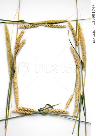 Decorative frame of dry ears of wheat on a white background. Template for text Decorative frame of dry ears of wheat on a white background. Template for text 139991747