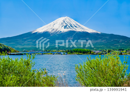 農鳥が現れた初夏の富士山　河口湖 139991941