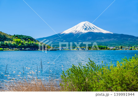 農鳥が現れた初夏の富士山　河口湖 139991944