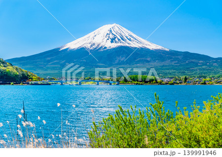 農鳥が現れた初夏の富士山　河口湖 139991946