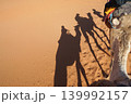サハラを歩くラクダの影 139992157