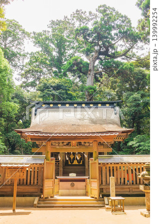 「茨城県」鹿島神宮　特別な社、奥宮の風景 139992254