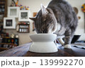 デブ猫の食事 139992270