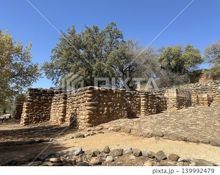 The ruins of the Canaanite city of Laish in the Tel Dan nature reserve The ruins of the Canaanite city of Laish in the Tel Dan nature reserve 139992479
