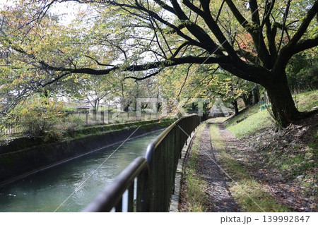 川のある風景 川のある風景 139992847