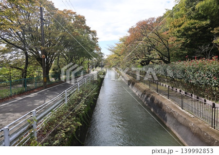 川のある風景 川のある風景 139992853