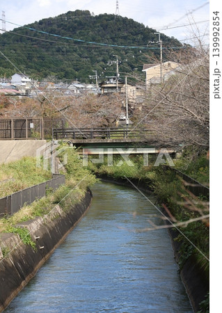 川のある風景 川のある風景 139992854