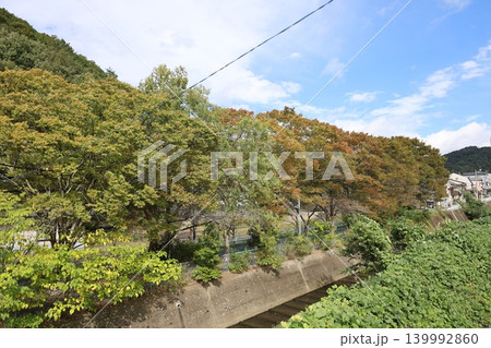 秋の山の風景 139992860