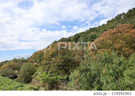 紅葉した山と青空 139992861