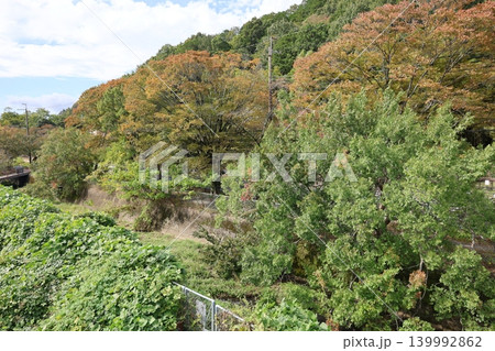 紅葉した山の風景 紅葉した山の風景 139992862