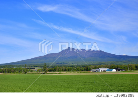 6月新緑の斜里岳 139992889