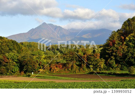 9月秋の気配漂う斜里岳 139993052