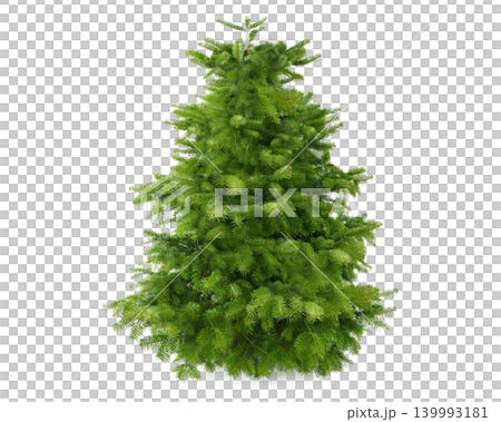 A lush green fir Christmas tree with a transparent background, perfect for holiday designs 139993181