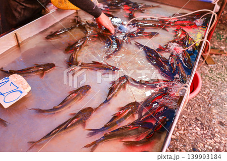 タイの市場で売られている魚 139993184