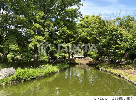 新緑の木々が水面に映る美しい池の風景 新緑の木々が水面に映る美しい池の風景 139993494