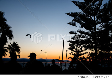 Sunset view of Scarborough Beach in Perth, Australia with silhouette of people, birds and trees 139993747