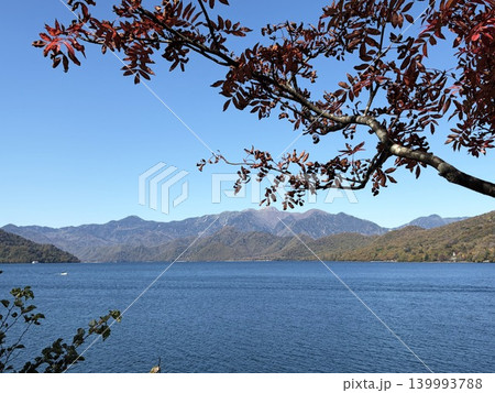 色付き始めた紅葉の枝越しに広がる湖の山 色付き始めた紅葉の枝越しに広がる湖の山 139993788