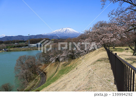 四十四田公園から岩手山を望む 四十四田公園から岩手山を望む 139994292