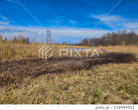 Dry reeds and scorched marshland beside a small pond under a clear blue sky, burned vegetation near transmission lines and a pylon highlighting fire risk and environmental damage. Dry reeds and scorched marshland beside a small pond under a clear blue sky, burned vegetation near transmission lines and a pylon highlighting fire risk and environmental damage. 139994401