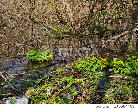Polluted wetland with plastic bottles and litter among fresh green plants and yellow flowers, illustrating human-caused contamination and habitat degradation impacting wildlife. 139994405