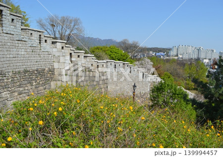 韓国 ソウル市駱山公園付近の城壁 韓国 ソウル市駱山公園付近の城壁 139994457