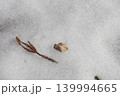 雪の上に落ちた枝と枯れ葉のミニマルな冬景色 139994665