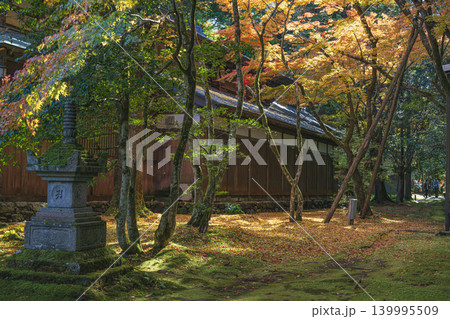 紅葉の庭園 紅葉の庭園 139995509