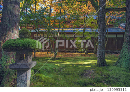 紅葉の庭園 紅葉の庭園 139995511