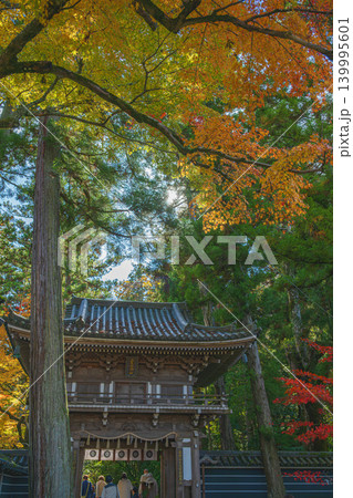 石川 那谷寺の秋景色 石川 那谷寺の秋景色 139995601
