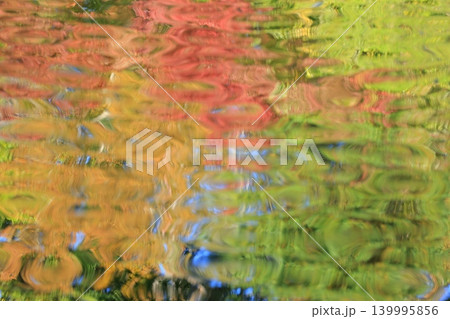 紅葉したもみじ 紅葉したもみじ 139995856