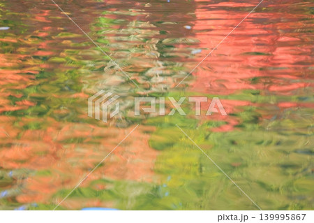 紅葉したもみじ 紅葉したもみじ 139995867