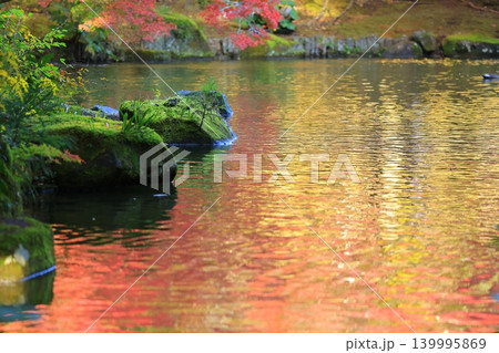 紅葉したもみじ 紅葉したもみじ 139995869