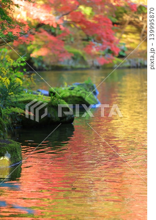 紅葉したもみじ 紅葉したもみじ 139995870