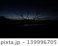 日没の空と枯れ木のシルエット 139996705