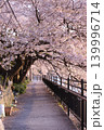 桜のトンネルの遊歩道 139996714