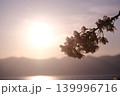 夕焼けと山並みと桜 139996716