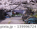 桜並木のある通り 139996724