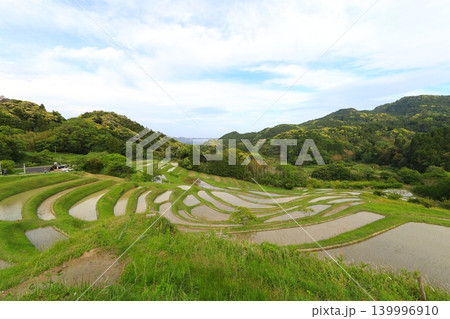 【千葉県】田植の済んだ大山千枚田 【千葉県】田植の済んだ大山千枚田 139996910