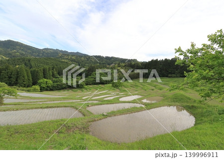 【千葉県】田植の済んだ大山千枚田 139996911