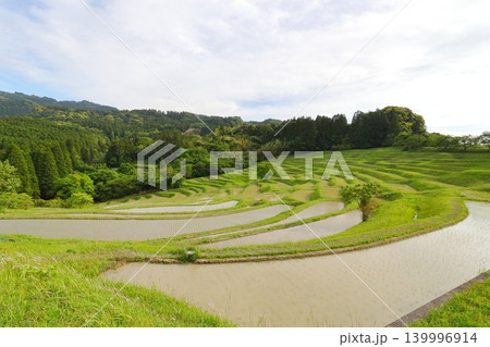 【千葉県】田植の済んだ大山千枚田 【千葉県】田植の済んだ大山千枚田 139996914