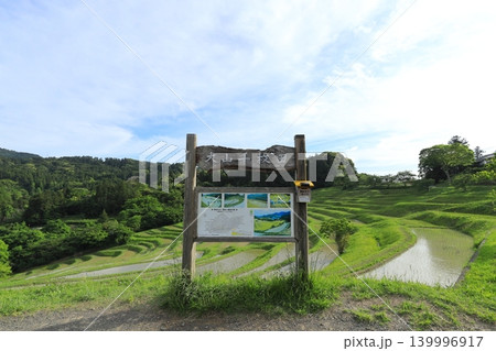 【千葉県】田植の済んだ大山千枚田 【千葉県】田植の済んだ大山千枚田 139996917