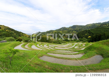 【千葉県】田植の済んだ大山千枚田 【千葉県】田植の済んだ大山千枚田 139996918