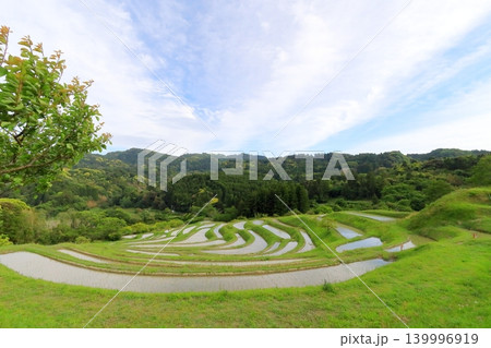 【千葉県】田植の済んだ大山千枚田 139996919