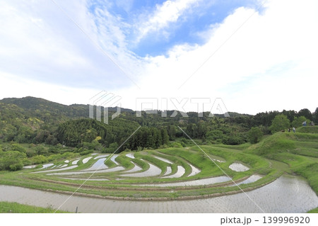 【千葉県】田植の済んだ大山千枚田 【千葉県】田植の済んだ大山千枚田 139996920