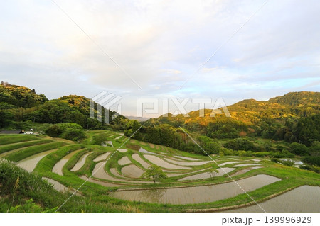 【千葉県】田植の済んだ大山千枚田 【千葉県】田植の済んだ大山千枚田 139996929