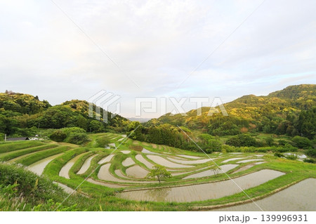 【千葉県】田植の済んだ大山千枚田 【千葉県】田植の済んだ大山千枚田 139996931