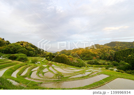 【千葉県】田植の済んだ大山千枚田 【千葉県】田植の済んだ大山千枚田 139996934