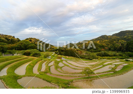 【千葉県】田植の済んだ大山千枚田 【千葉県】田植の済んだ大山千枚田 139996935